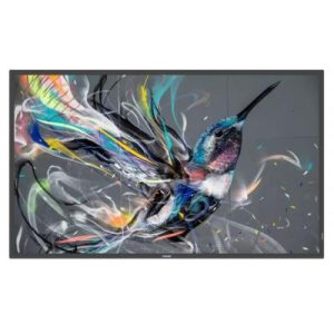 32" 32BDL3511Q/00 Commercial Display