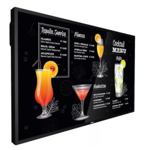 43" 43BDL3117P/00 Commercial TV