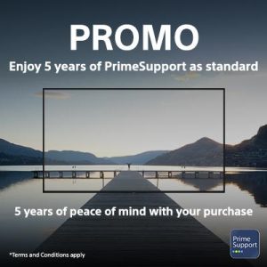 65" FW65BZ40L Commercial Display